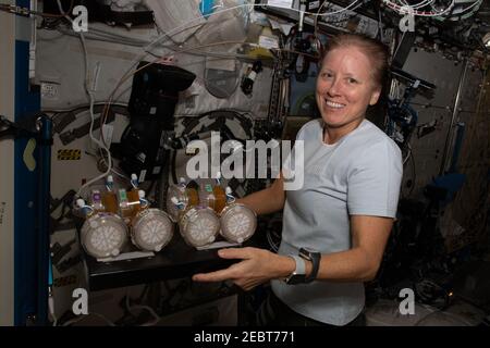 NASA-Astronaut und Expedition 64 Flugingenieur Shannon Walker liefert Proben für die BioNutrients-Studie, die Wege zur Produktion von Vitaminen und anderen Nährstoffen erforscht, um eine Crew-Diät zu verbessern, während sie an Bord der Internationalen Raumstation im Weltraum lebt 25. Januar 2021 in Earth Orbit. Stockfoto