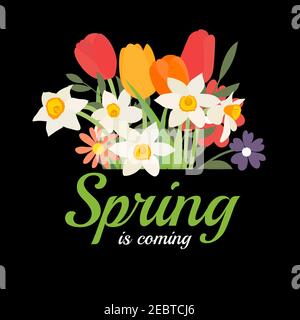 Frühling kommt Hintergrund mit Blumenstrauß von Frühlingsblumen Tulpen und Narzissen. Vektorgrafik Stock Vektor