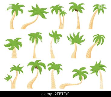 Tropische Palmen. Grüne florale Palme, exotische Kokospalme. Exotische hawaiian grüne Palme isoliert Vektor Illustration Set Stock Vektor