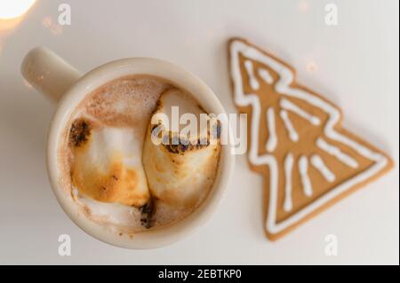 Heißer Kakao mit Lebkuchenkekse Stockfoto