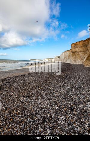 Die White Cliffs of Dover, Teil der North Downs Formation, ist die Region der englischen Küste mit Blick auf die Straße von Dover und Frankreich. Die Felswand Stockfoto