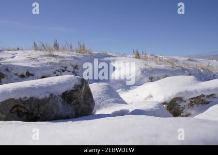 Grand Haven, Michigan, Februar 2021, schneebedeckte Felsen und Hügel, Winterpflanzen Stockfoto