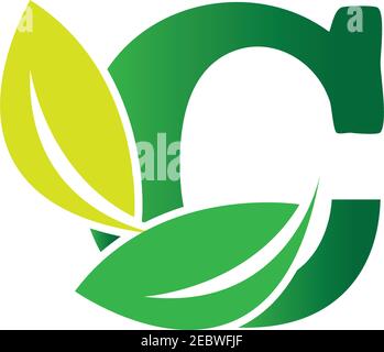 Grüne Öko Buchstaben C Logo mit Blättern. /Symbol / Alphabet / botanisch / natürlich Buchstabe C eco Blätter Logo Symbol Design Vorlage Elemente. Vektorfarbe si Stock Vektor