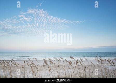 USA, North Carolina, hohes Gras am Strand Stockfoto