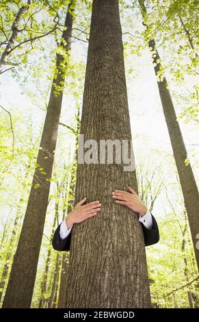Mann in Anzug umarmt Baum Stockfoto