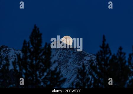 USA, Idaho, Sun Valley, Vollmond über Boulder Mountains in der Winternacht Stockfoto