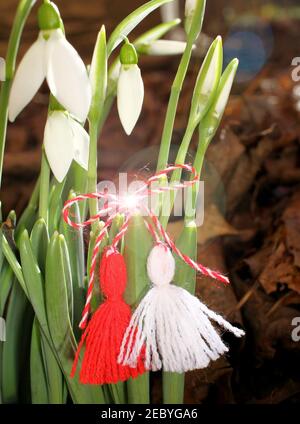 Schneeglöckchen und martenitsa. Symbole des Frühlings. Weiße Schneeglötblumen und Martison. Baba Marta Stockfoto