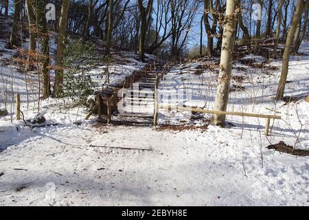 Treppe aus dem Wald als Eingang zu den niederländischen Dünen im Winter im Schnee in der Nähe des Dorfes Bergen. Niederlande, Februar Stockfoto