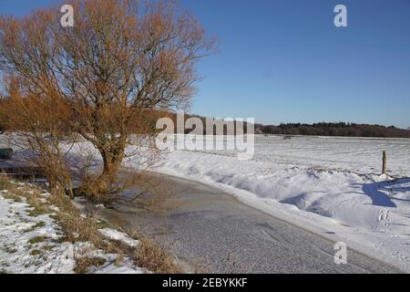 Holländische Winterlandschaft mit einem gefrorenen Graben, schneebedeckten Wiesen und einer Weide. In der Nähe des Dorfes Bergen. Wald in der Ferne. Niederlande, Stockfoto