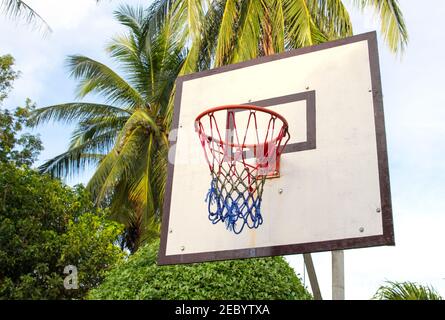 Basketball Ausrüstung auf der tropischen Insel. Warenkorb leeren. Outdoor Sport Spiel. Aktiver Lebensstil im Sommer Urlaub. Streetball zu spielen. Basketball in Palm Stockfoto