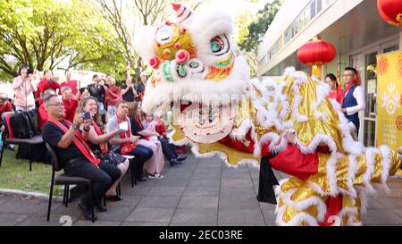 Wellington. Februar 2021, 13th. Der Löwentanz wird für die Bewohner des Wellington Central Park, Neuseeland, Feb,13, 2021 aufgeführt. Die Gemeinschaftsfeier des chinesischen Neujahrs fand im Central Park von Wellington statt, mit chinesischer Musik, Traditionen und Segnungen. Quelle: Zhang Jianyong/Xinhua/Alamy Live News Stockfoto