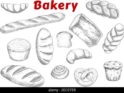 Bäcker- und Konditoreiprodukte Skizzen mit Rosinen Muffin und Zimtrollen, französischen Croissants und Baguette, Brezel und geflochtenen süßen Brötchen, Laibe w Stock Vektor