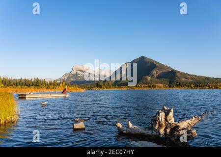 Vermilion Lakes und Mount Rundle Herbstlaub Landschaft in der Sonnenuntergangszeit. Banff National Park, Kanadische Rockies, Alberta, Kanada. Bunte Bäume und Wat Stockfoto