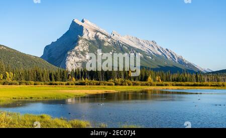 Vermilion Lakes und Mount Rundle Herbstlaub Landschaft in der Sonnenuntergangszeit. Banff National Park, Kanadische Rockies, Alberta, Kanada. Bunte Bäume und Wat Stockfoto