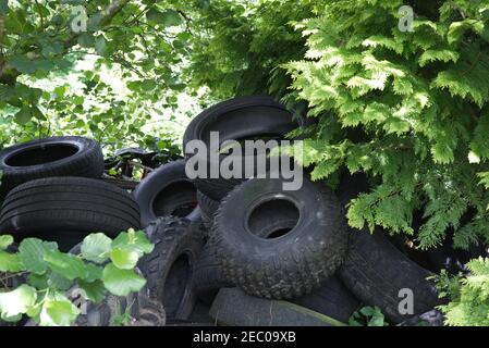 Autoreifen in Land gedumpt, fliegen kippen Stockfoto