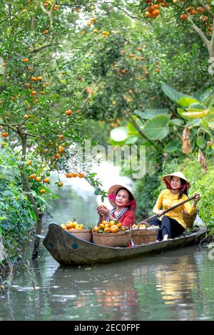 SA Dec Stadt, Dong Thap Provinz, Vietnam - 7. Februar 2021: Bauern ernten Mandarine auf einem Boot in Sa Dec Stadt, Dong Thap Provinz, Vietnam Stockfoto