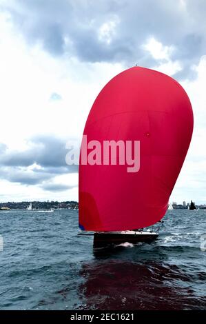 Moody Seekape einer Yacht Racing in Sydney Hafen mit seinem roten Spinnaker eingesetzt. Volles Boot im Blick mit bewölktem dramatischen Himmel und östlichen Vororten behi Stockfoto