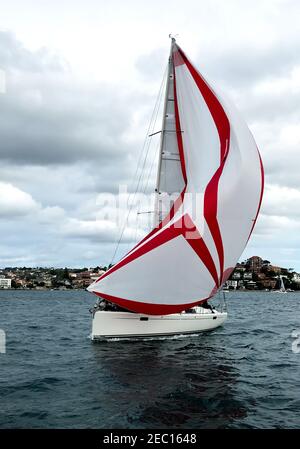 Moody Seestape einer Yacht Racing in Sydney Hafen mit weiß und rot Spinnaker fast im Einsatz. Stockfoto