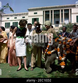 First Lady Jacqueline Kennedyu0027s (JBK) Reise nach Indien und Pakistan: New Delhi, Delhi, Indien, Childrenu0027s Kunstkarneval in Teen Murti Bhavan, Residenz des indischen Ministerpräsidenten Jawaharlal Nehru. First Lady Jacqueline Kennedy füttert einen Elefanten, Urvashi, im Garten des Premierministers von Indien Jawaharlal Nehruu2019s Residenz, Teen Murti Bhavan. Neu Delhi, Indien. Stockfoto