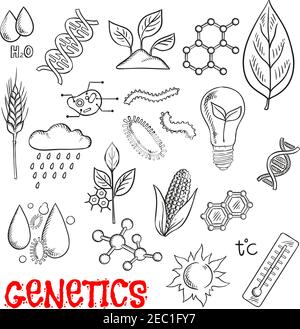 Landwirtschaft und Gentechnologie Skizze mit Symbolen von Mais, Weizen und Sämlinge, Modelle von DNA und Molekülen, pflanzlichen Zellstruktur, Schädlinge, Chemica Stock Vektor