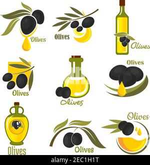 Oliven schwarze Früchte mit goldenen Öltropfen und Glasflaschen Olivenöl, ergänzt durch Zweige von Olivenbaum mit grünen Blättern. Landwirtschaft und er Stock Vektor