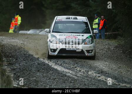 2006 WORLD RALLY CHAMPIONSHIP BRITISH LEG RENNEN IN BRECHFA WALD IN DER NÄHE VON CARMARTHEN IN WEST WALES Stockfoto