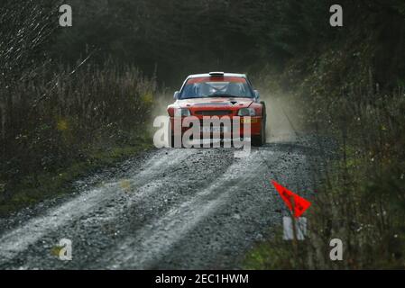 2006 WORLD RALLY CHAMPIONSHIP BRITISH LEG RENNEN IN BRECHFA WALD IN DER NÄHE VON CARMARTHEN IN WEST WALES Stockfoto