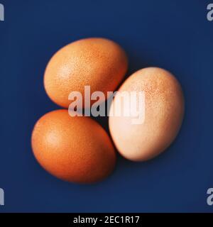 Draufsicht auf drei braune Hühnereier, die auf blauem Hintergrund liegen. Gesundes Essen zum Frühstück. Proteinquelle. Stockfoto