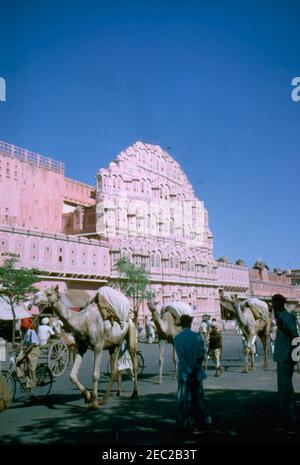 First Lady Jacqueline Kennedyu2019s (JBK) Reise nach Indien und Pakistan: Jaipur, Rajasthan, Indien, Basar Kaufleute und Straßenansichten. Blick auf Menschen und Kamele zu Fuß vor dem Hawa Mahal in Jaipur, Rajasthan, Indien. Stockfoto