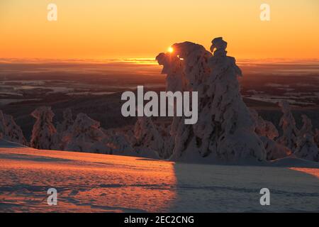 Schierke, Deutschland. Februar 2021, 13th. Iced Brocken Fichten stehen im Licht der aufgehenden Sonne auf dem Brocken. Eisige Kälte bläst heute auf dem Brocken den Wind. Auf dem höchsten Harz-Gipfel wurden Temperaturen von minus 20 Grad gemessen. Nur wenige Wanderer wagten sich bei eisigen Temperaturen zum Sonnenaufgang auf den Brocken. Quelle: Matthias Bein/dpa-Zentralbild/dpa/Alamy Live News Stockfoto