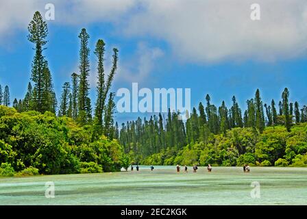 Oro Bay, Pines Island, Neukaledonien, Frankreich Stockfoto