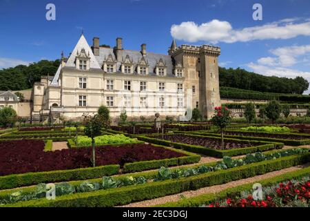 Chateau de Villandry, Loire-Tal, Frankreich. Das Schloss der Spätrenaissance ist vor allem für seine restaurierten Gärten bekannt, die nach Entwürfen aus dem 16th. Jahrhundert entstanden sind. Stockfoto