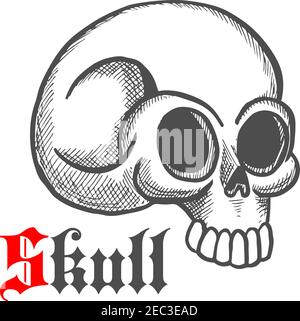 Vintage Gravur Illustration von monströsen menschlichen Schädel mit gebrochenem temporalen Knochen. Kann als Tattoo, Schmuck oder T-Shirt Print-Design verwendet werden Stock Vektor
