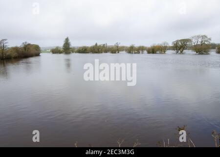 Der Fluss Ilen Irland überflutet die Felder der Bauern, nachdem er seine Ufer platzt hat. Stockfoto