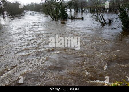 Der Fluss Ilen Irland überflutet die Felder der Bauern, nachdem er seine Ufer platzt hat. Stockfoto