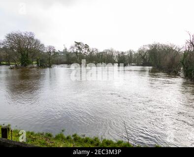 Der Fluss Ilen Irland überflutet die Felder der Bauern, nachdem er seine Ufer platzt hat. Stockfoto