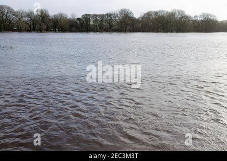 Der Fluss Ilen Irland überflutet die Felder der Bauern, nachdem er seine Ufer platzt hat. Stockfoto