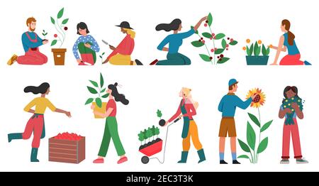 Gärtner Leute kultivieren Gartenbau Pflanzen Vektor Illustration Set. Cartoon Mann Frau Charaktere Gartenarbeit Ernte Pflanzen, wachsende Blumen Gemüse oder Früchte im Garten isoliert auf weiß Stock Vektor