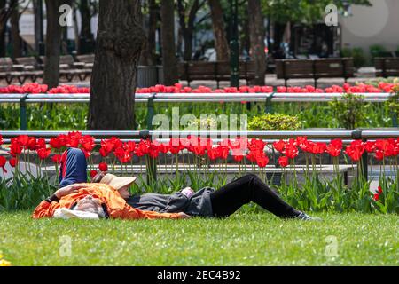 Ein paar ältere Rentner liegen auf dem Rasen in einem Park und ruhen sich aus, um ein Nickerchen zu machen. Frühling. Stockfoto