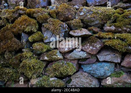 Eine alte Seenplatte fiel trockene Steinmauer mit grünem Moos Stockfoto