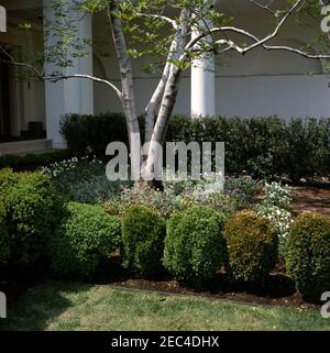 Rosengarten Rekonstruktion, Fortschritte Fotos. Blick auf den Rosengarten Baufortschritt. White House, Washington, D.C. Stockfoto