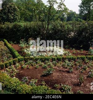 Rosengarten Rekonstruktion, Fortschritte Fotos. Blick auf den Rosengarten Baufortschritt. White House, Washington, D.C. Stockfoto