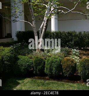 Rosengarten Rekonstruktion, Fortschritte Fotos. Blick auf den Rosengarten Baufortschritt. White House, Washington, D.C. Stockfoto