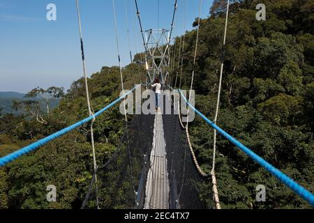 Hängebrücke in Nyungwe Forest, Ruanda, Afrika Stockfoto