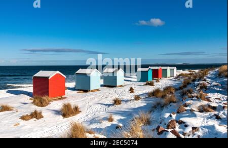 FINDHORN BAY MORAY FIRTH SCOTLAND SIEBEN BUNTE HÜTTEN ODER CHALETS AN EINEM SCHNEEBEDECKTEN STRAND IM WINTER Stockfoto