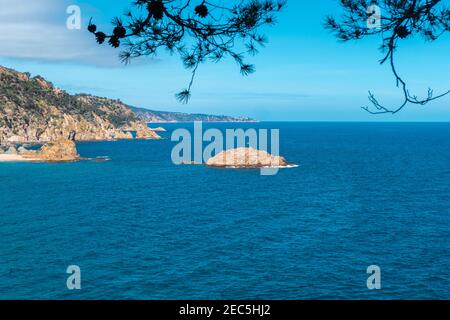 Typisch schöne Costa Brava Küste von Felsen und Pinien umgeben, Felsen Insel mit Katalonien Flagge im Meer. Tossa de Mar, Costa Brava, Spanien. Stockfoto