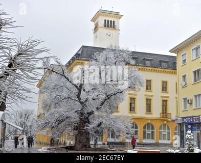 Sliven, Bulgarien - März 22nd 2018: Der alte Ulmenbaum (bulgarisch: 'Stariyat Bryast') in der mit Schnee bedeckten Hauptstraße Stockfoto