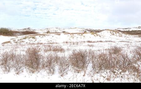 Winterszene in Berkheide, einem dunalen Naturschutzgebiet an der Nordseeküste, Katwijk, Südholland, Niederlande Stockfoto