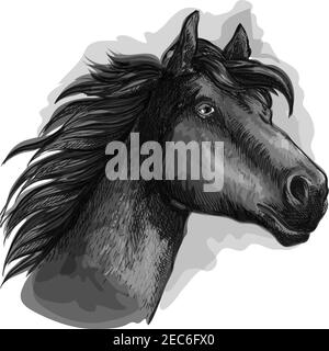 Pferd blickt voraus. Mustang Kopf- und Halsporträt. Vector schwarz läuft frei starken Hengst Stock Vektor