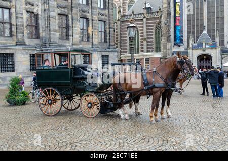 Kutsche mit zwei Pferden auf dem Dam Platz in Amsterdam, Niederlande. Stockfoto
